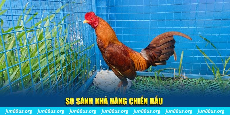 go88 club xổ số tiền giang