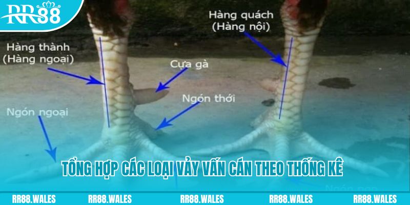 go88 club nổ hũ chơi như thế nào