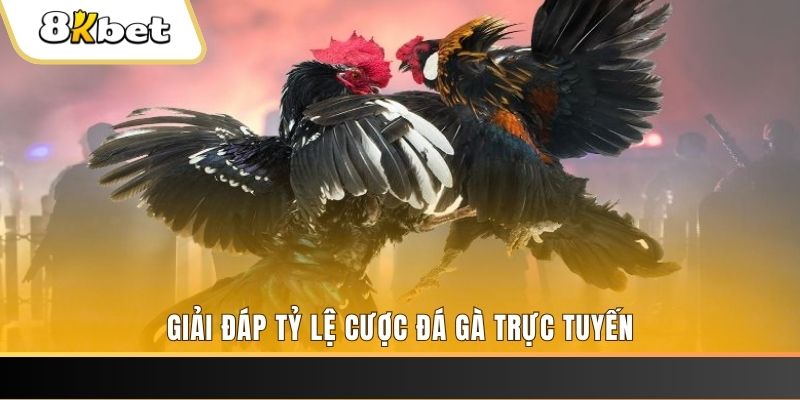 go88 club xổ số ba đài