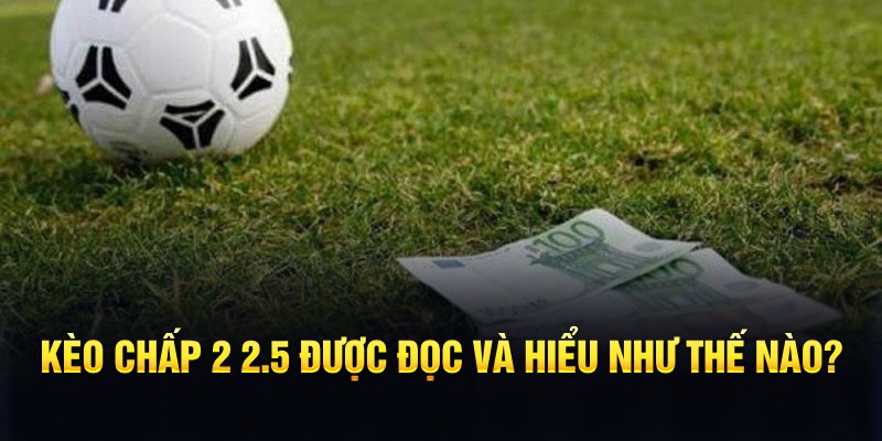 go88 club đá gà thomo